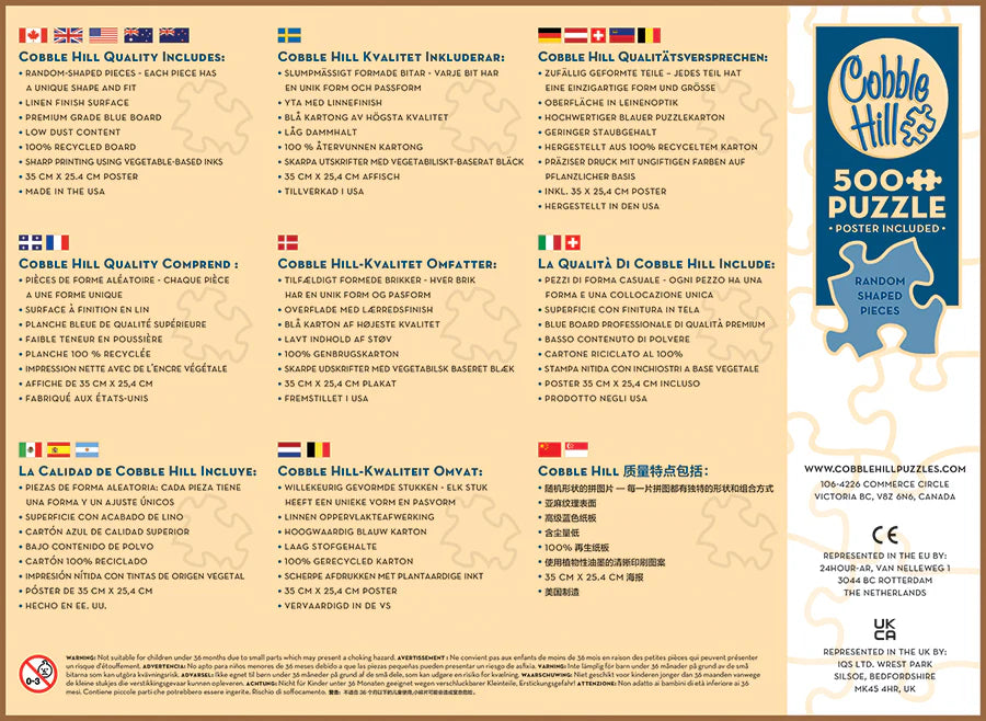 Ice Lollies - 500 pcs (Cobble Hill #45108)