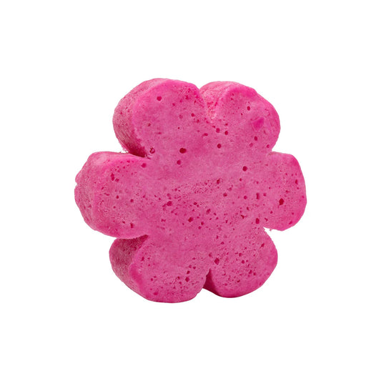 Soap Spongie - Flowery Fresh (Cait + Co)