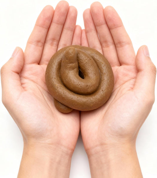 SendNonsense A Special Gift – Realistic Fake Poop Prank Gift Box