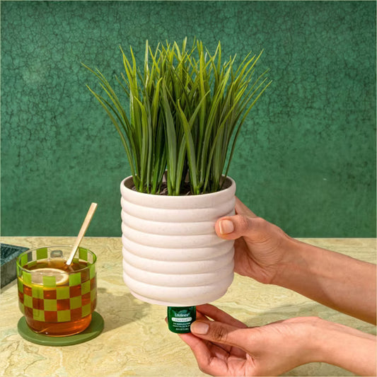 Lifelines® Plant Diffuser - Bubble White