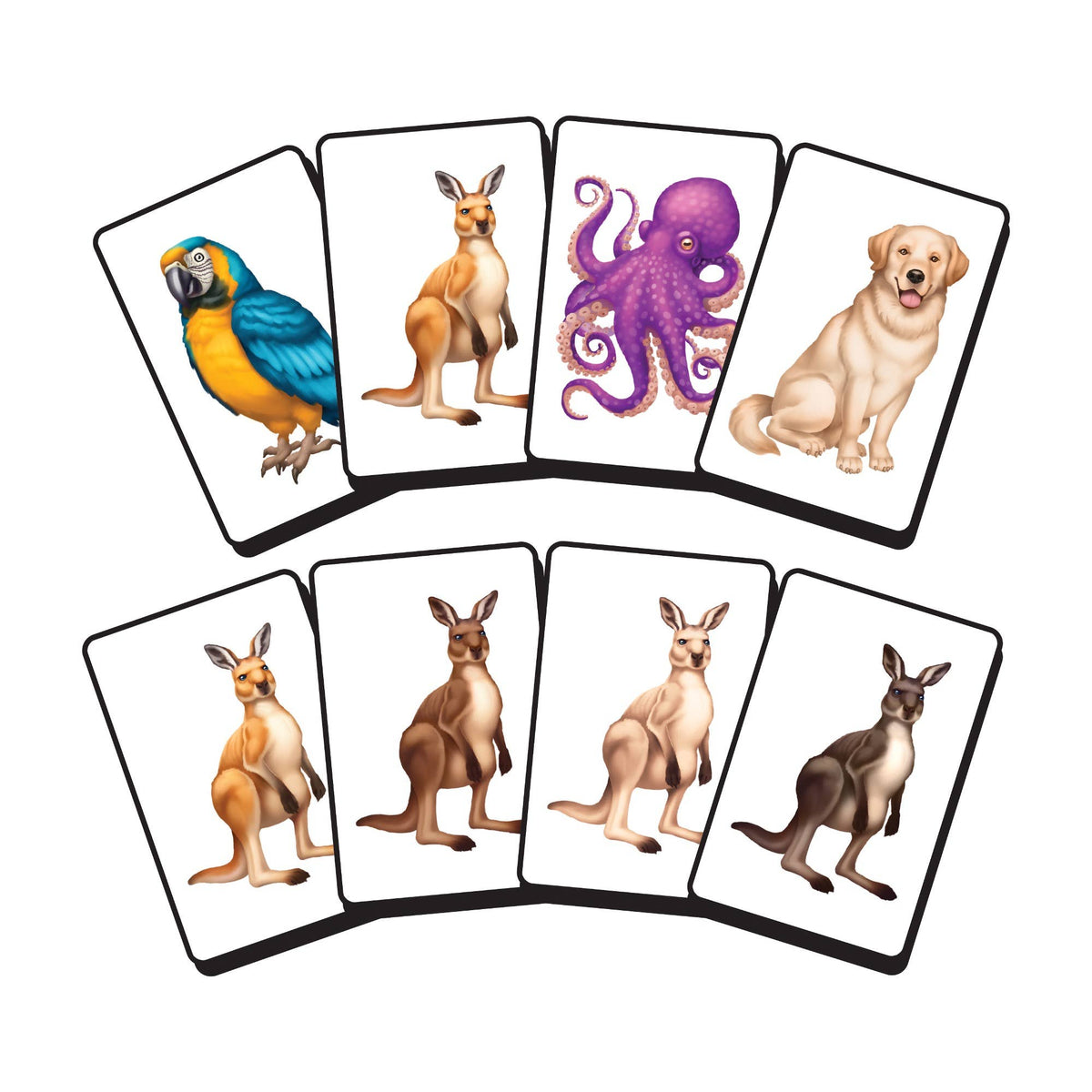 Piles! Animals β Fast-Paced Family Card Game
