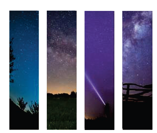 Zen Strips - Sand Nature S6