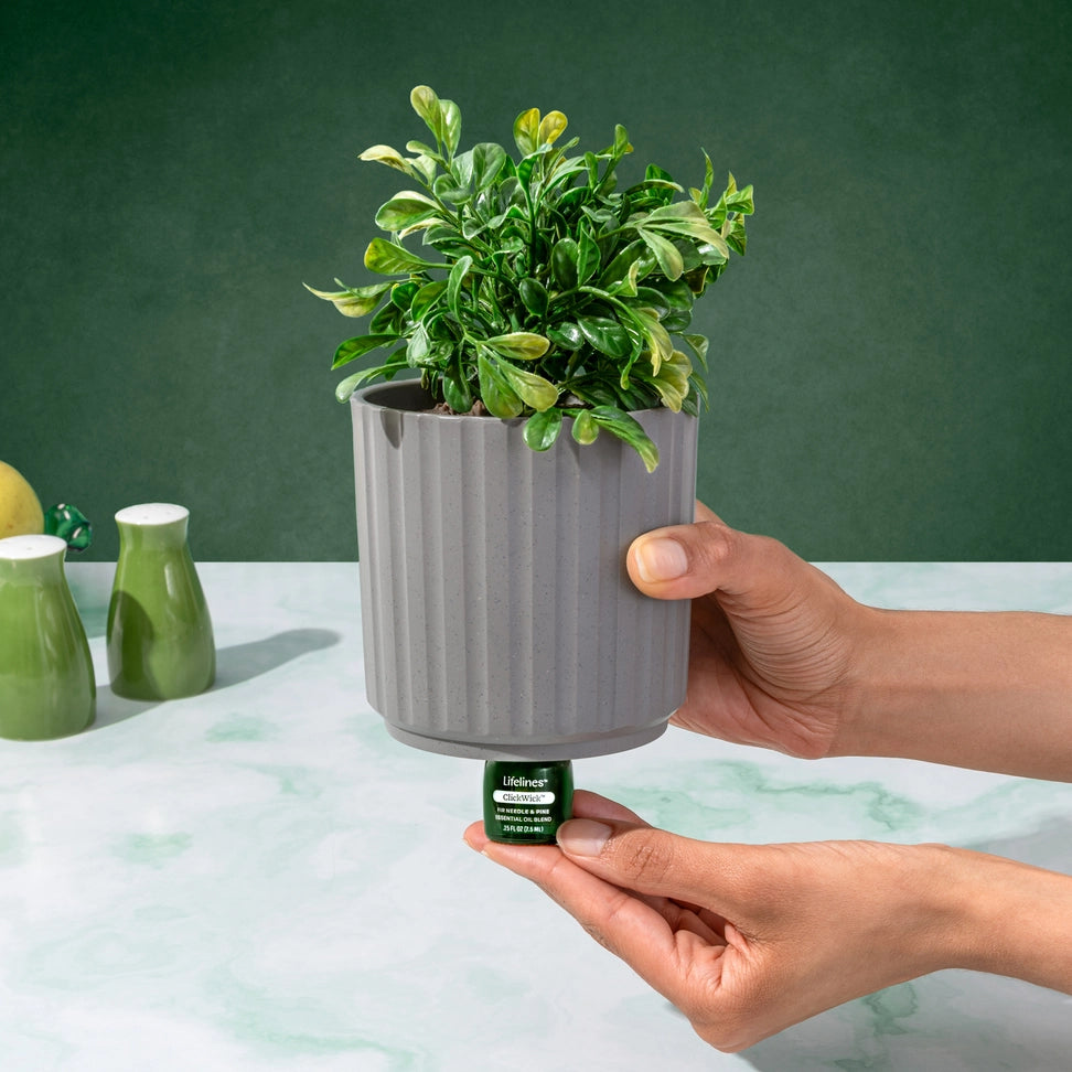 ClickWick™ Walk in the Woods Refill - Fir Needle & Pine - for Candle/Plant/Shower Diffuser