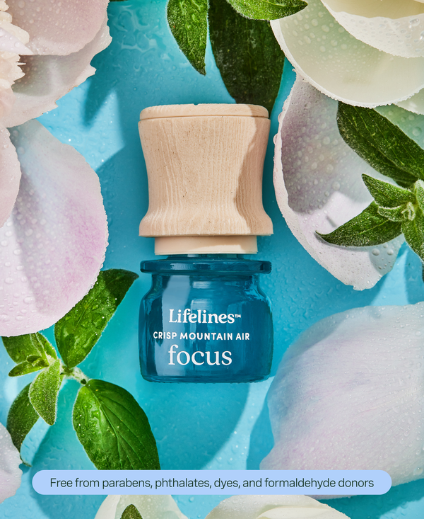 Lifelines Grounding Stones - Meditative Fidget