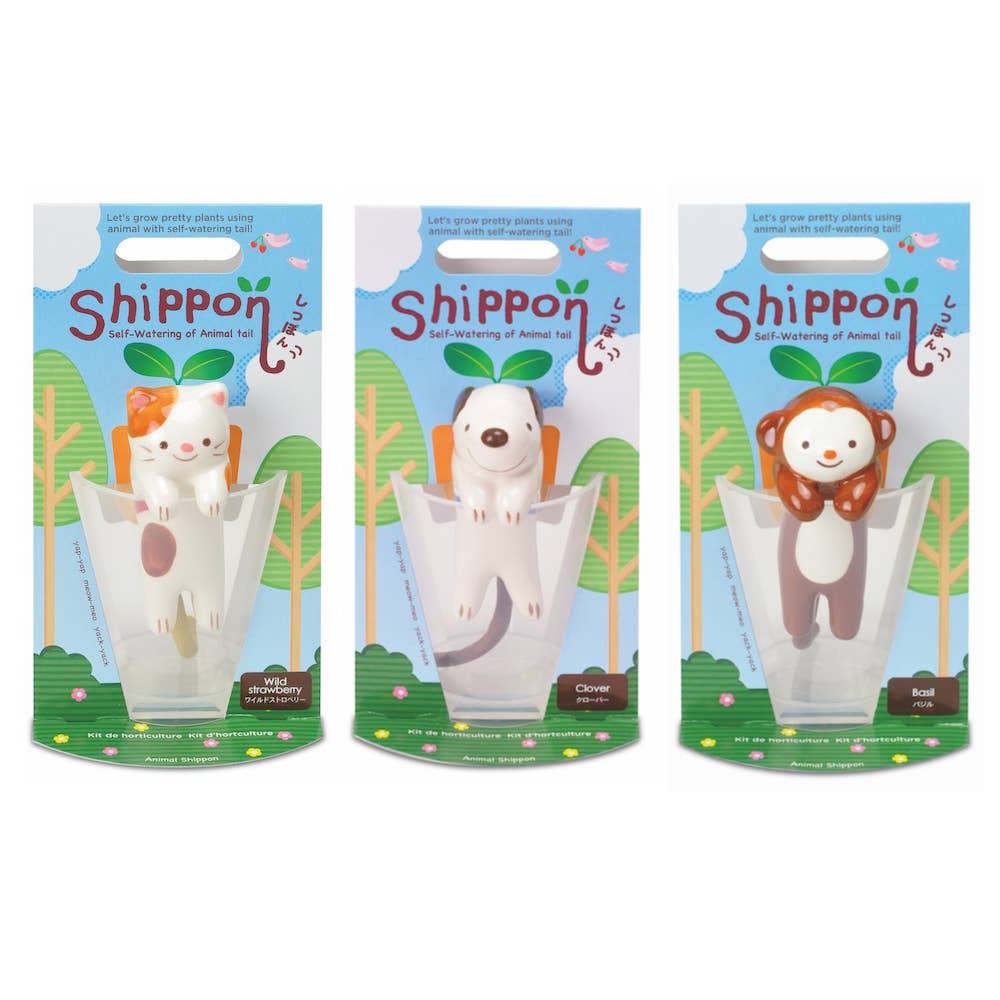 Shippon - 3 Assorted Styles