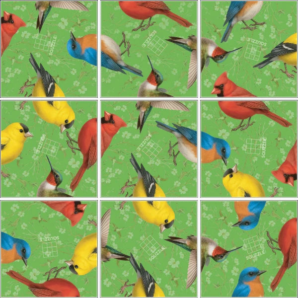 Birds Squzzle - Brain Teaser