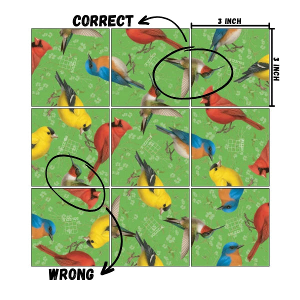 Birds Squzzle - Brain Teaser