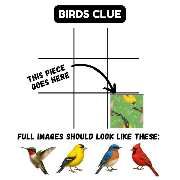 Birds Squzzle - Brain Teaser