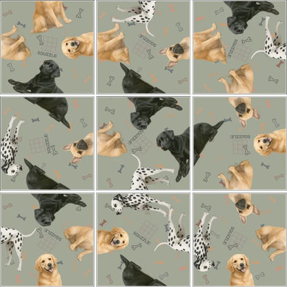 Dogs Squzzle - Brain Teaser