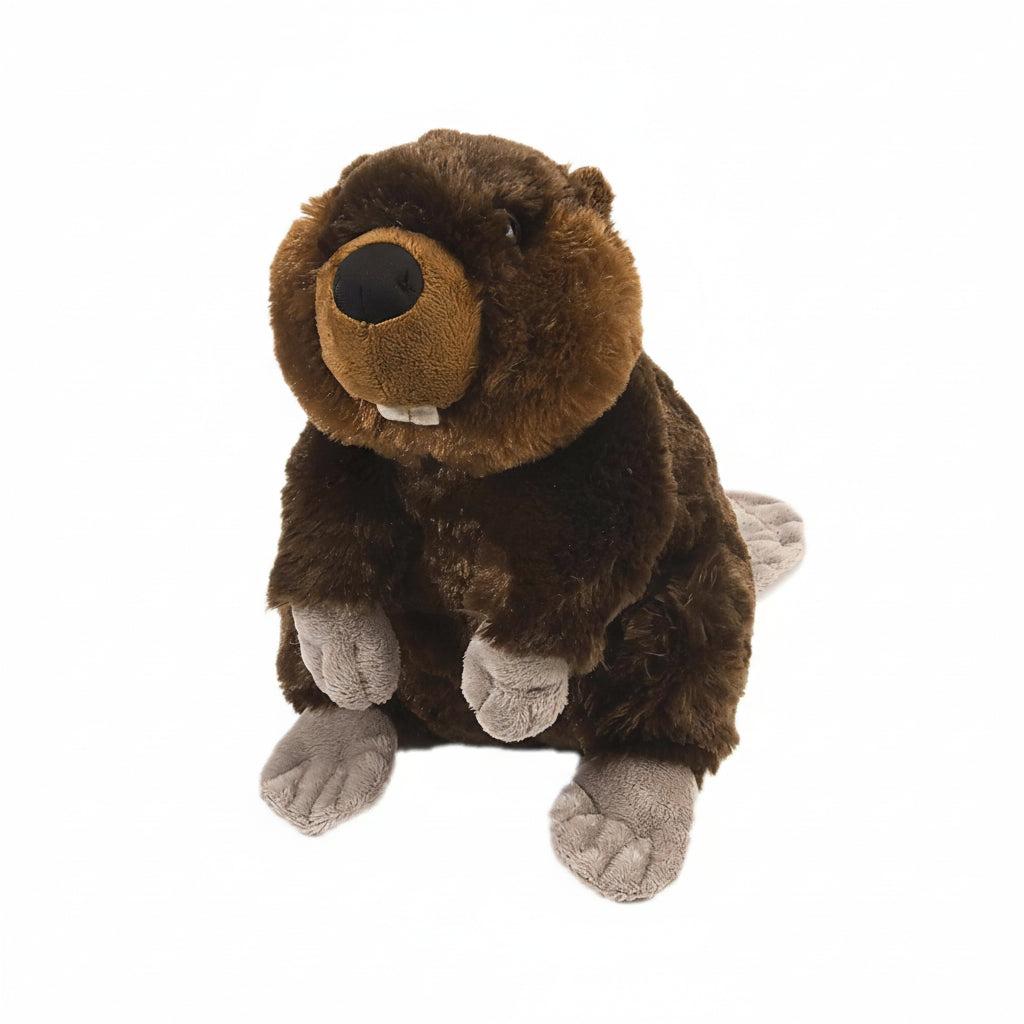 Plush toy beaver on a white background