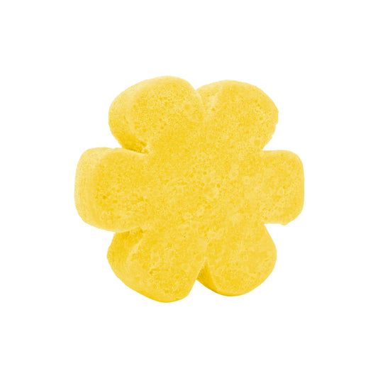 Soap Spongie - Fun & Fruity (Cait + Co)