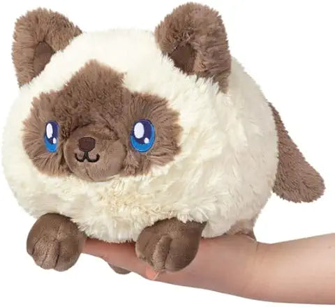 Mini Squishable Colorpoint Kitty