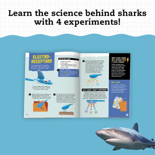 Klutz: STEAM Lab - Shark-tastic Teeth