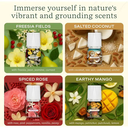 ClickWick® Lush Earth Collection - 4-Pack