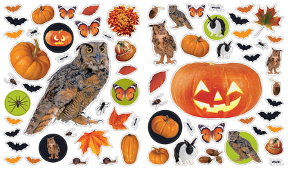 Eyelike Stickers: Halloween