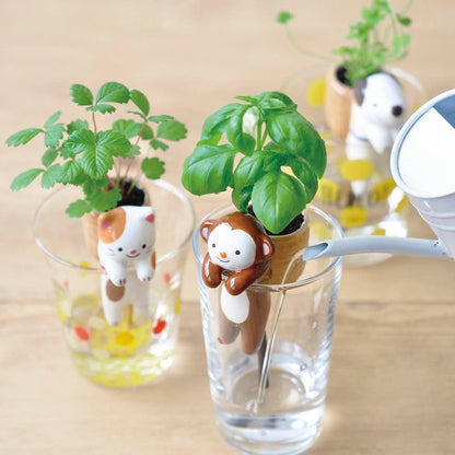 Shippon - 3 Assorted Styles