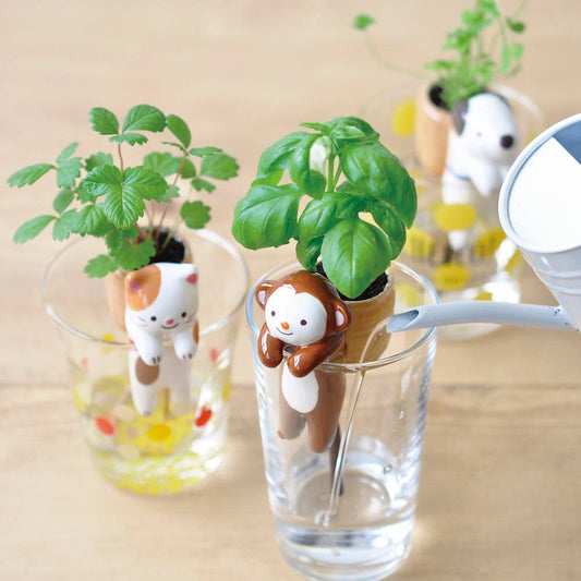 Shippon - 3 Assorted Styles