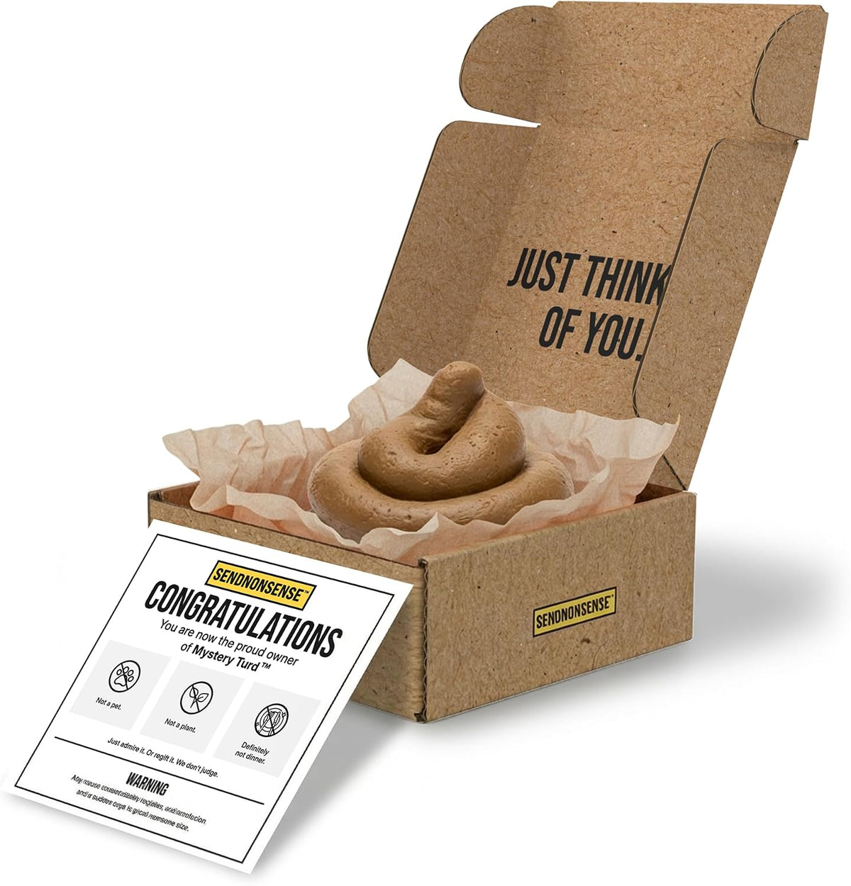SendNonsense A Special Gift – Realistic Fake Poop Prank Gift Box