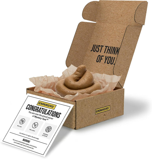 SendNonsense A Special Gift – Realistic Fake Poop Prank Gift Box