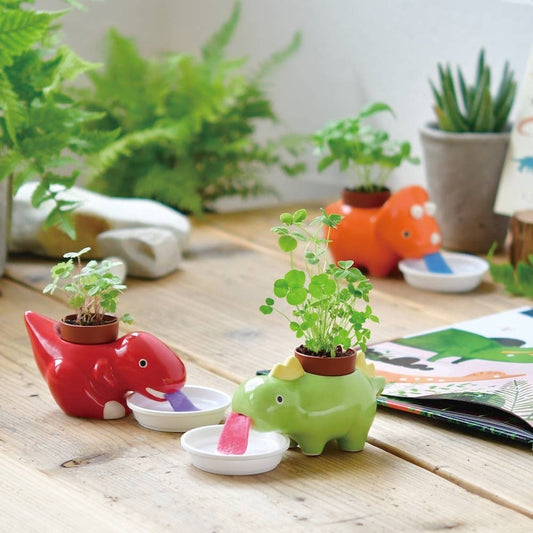 Green Zaurus - 3 Assorted Styles