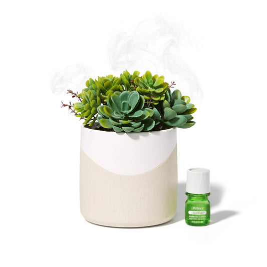 Lifelines® Plant Diffuser - Succulent - Two Toned