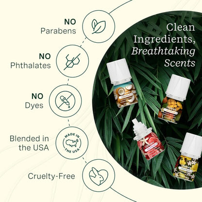 ClickWick® Lush Earth Collection - 4-Pack