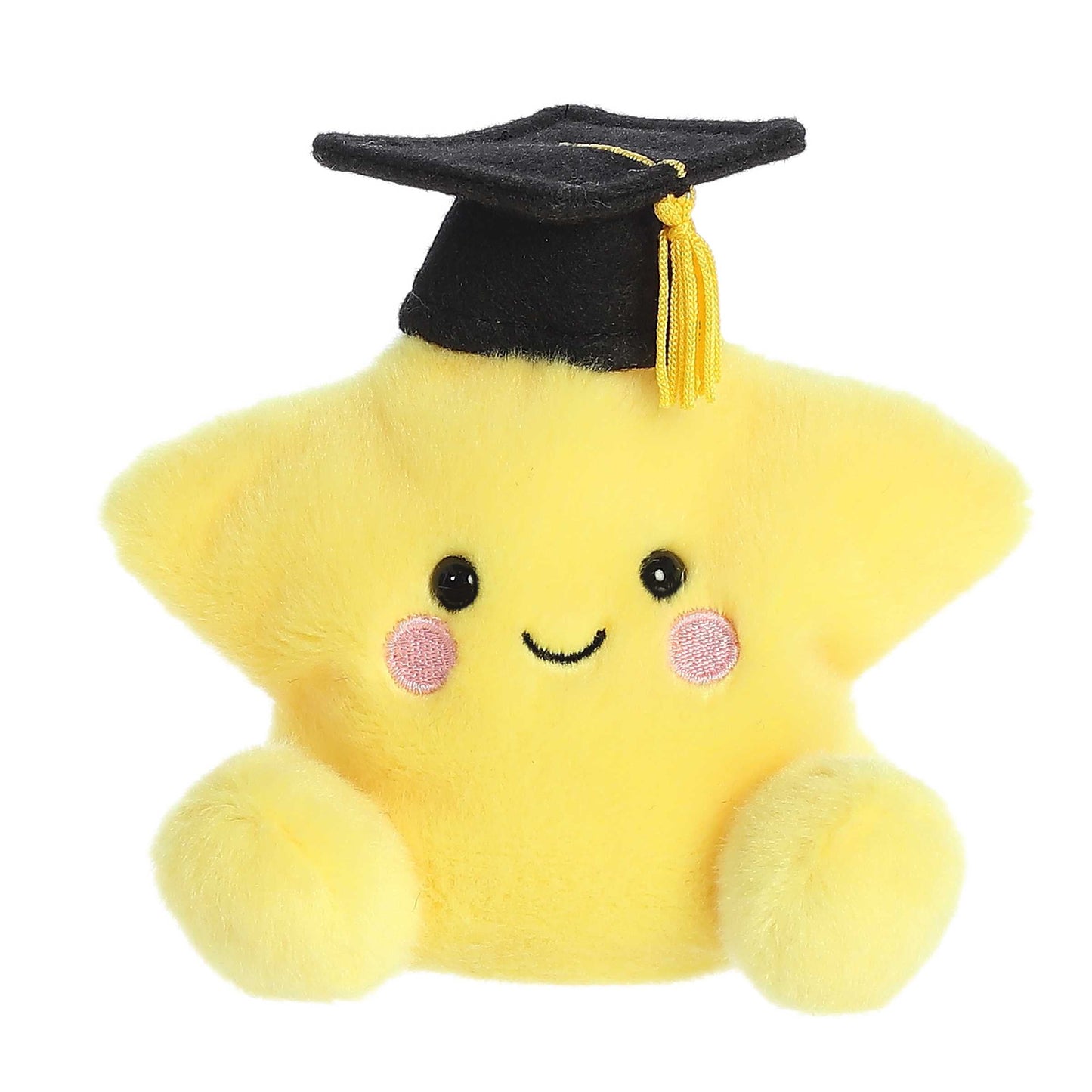 Palm Pals - 5" Magna Graduation Star