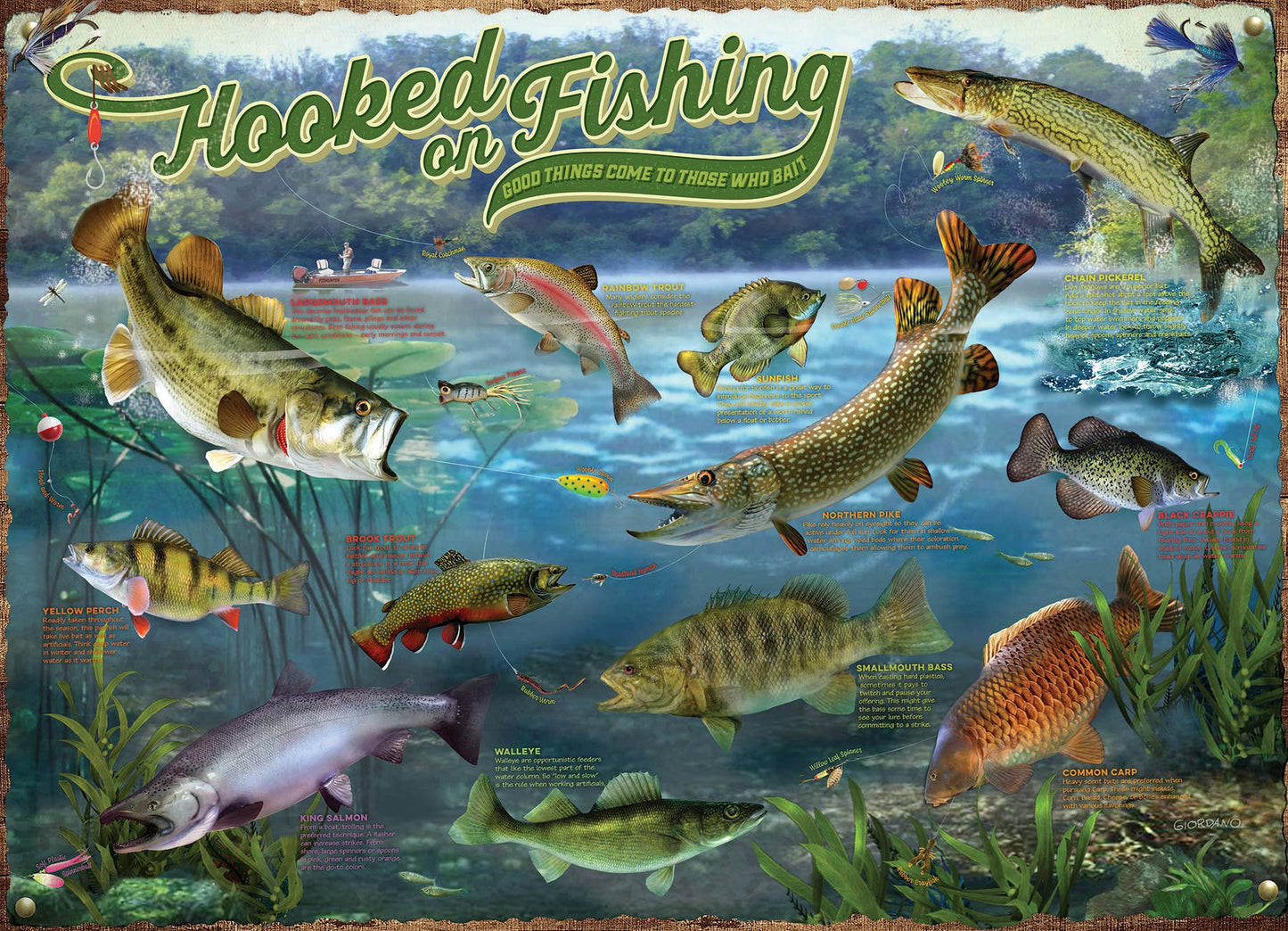 Hooked on Fishing - 1000 Piece Puzzle