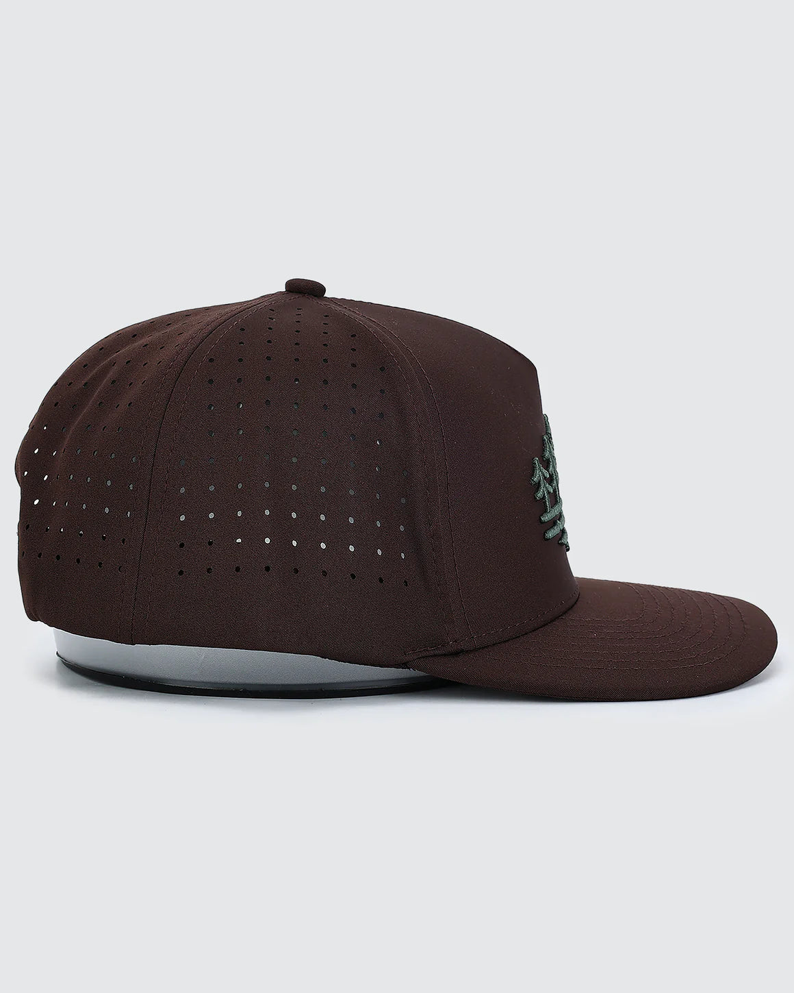 Waggle Original Snapback Hat - Back Pine
