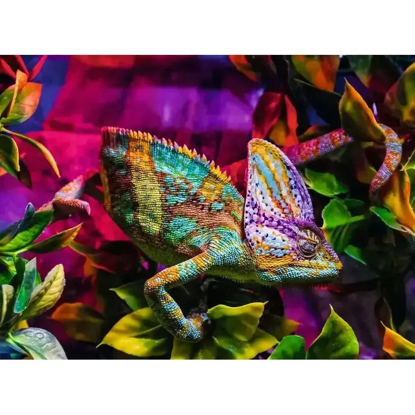 Ravensburger - Chameleon - 500 Piece Puzzle