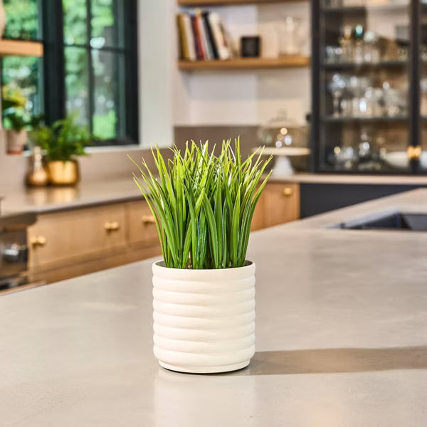Lifelines® Plant Diffuser - Bubble White
