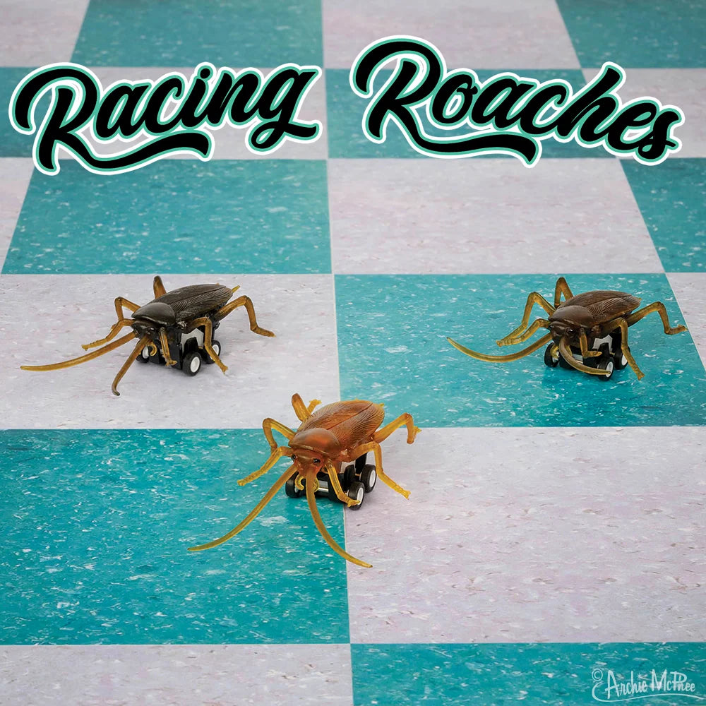 Racing Roaches – Pull-Back Cockroach Racing Toy