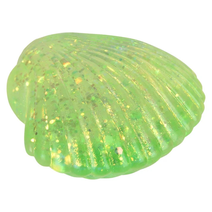 3.5" Sugar Squeezy Sea Shell