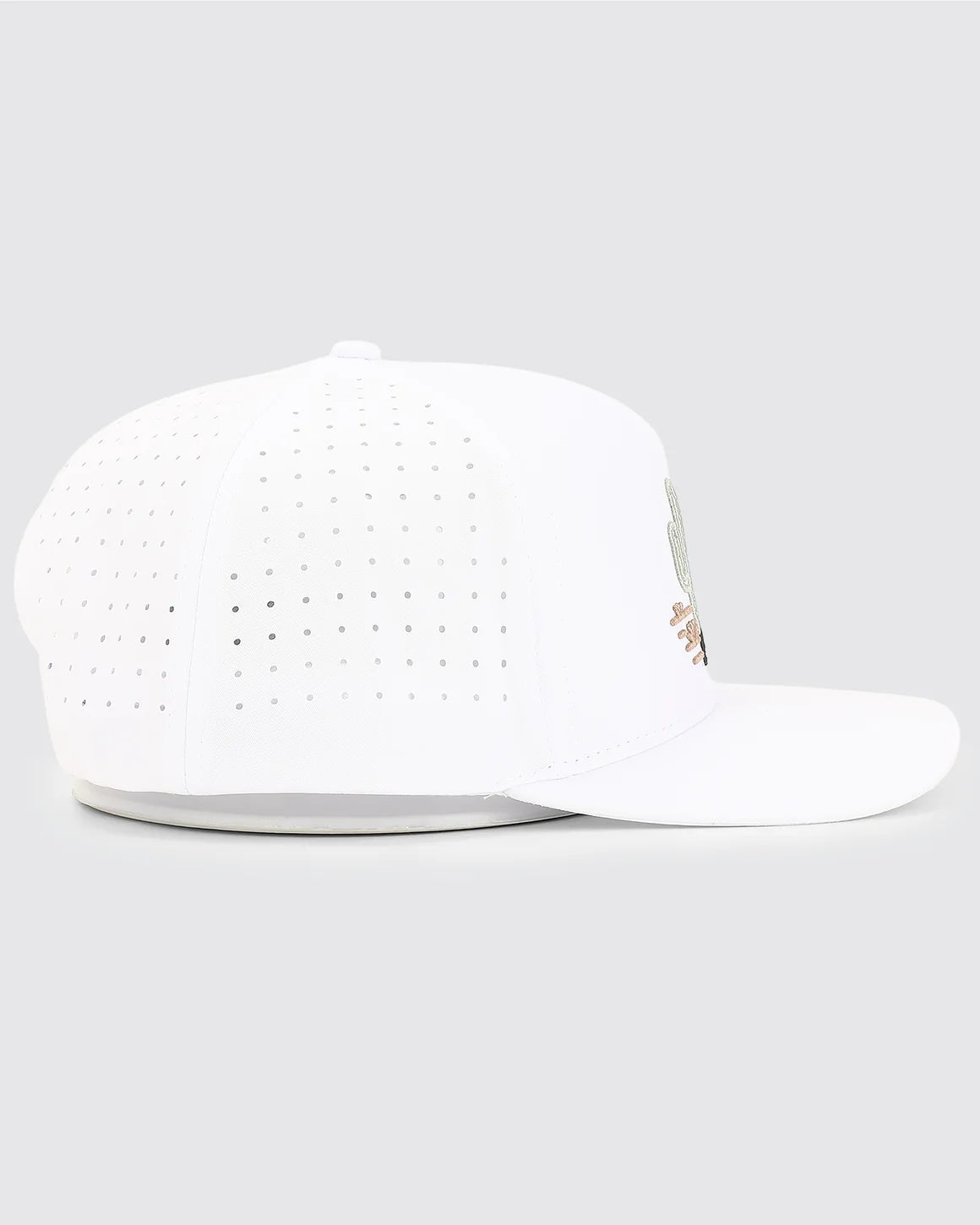 Waggle Original Snapback Hat - Wasteland
