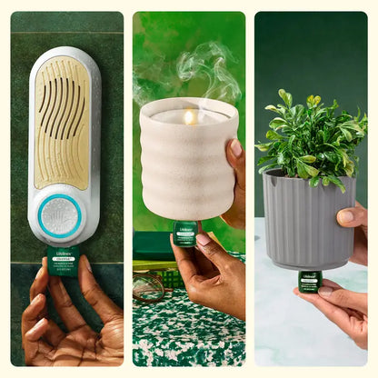 ClickWick™ Walk in the Woods Refill - Fir Needle & Pine - for Candle/Plant/Shower Diffuser