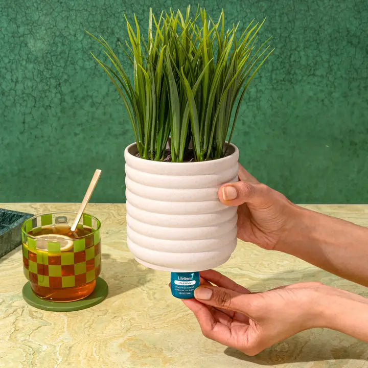 ClickWick™ Crisp Mountain Air Refill - Mint & Eucalyptus - For Candle/Plant/Shower