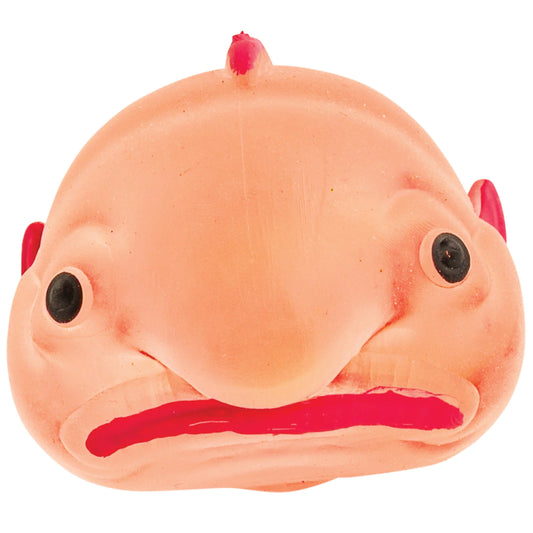 Sugar Blob Fish Squeeze