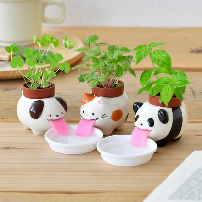 Peropon - 3 Assorted Styles