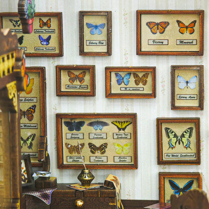 Hands Craft | Butterfly Workshop