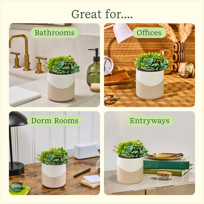 Lifelines® Plant Diffuser - Succulent - Two Toned