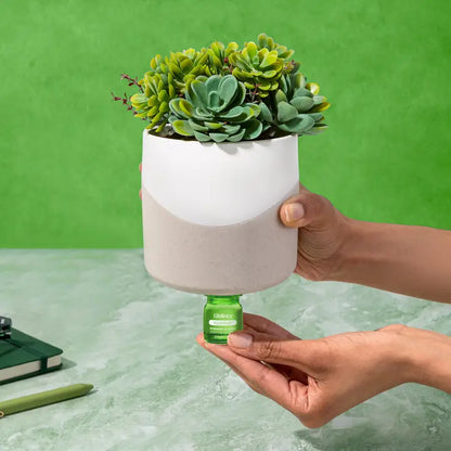 ClickWick™ Herbal Refill - Lemon & Rosemary - For Candle/Plant/Shower Diffusers