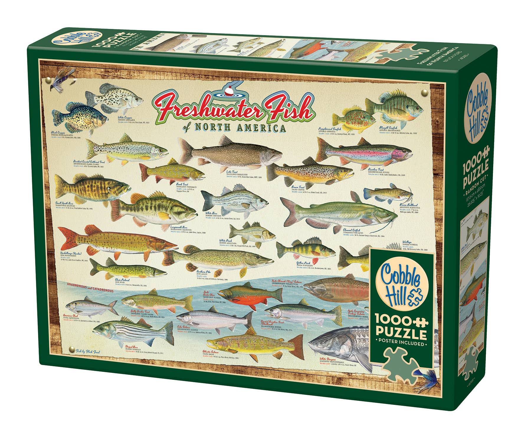Freshwater Fish of North America 1000pc puzzle – Runamuck Workshop
