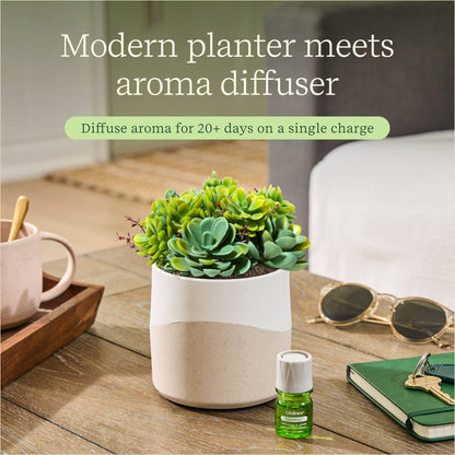 Lifelines® Plant Diffuser - Succulent - Two Toned