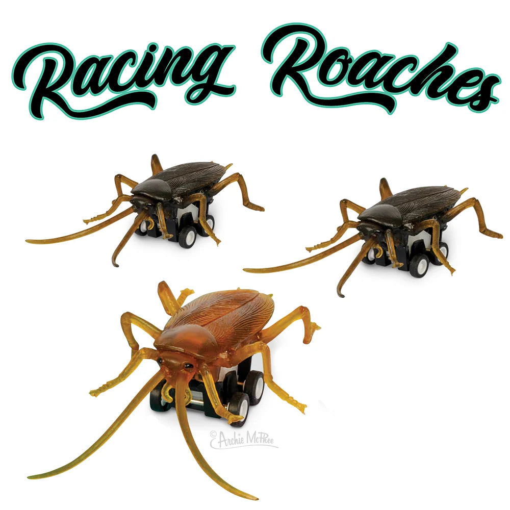 Racing Roaches – Pull-Back Cockroach Racing Toy