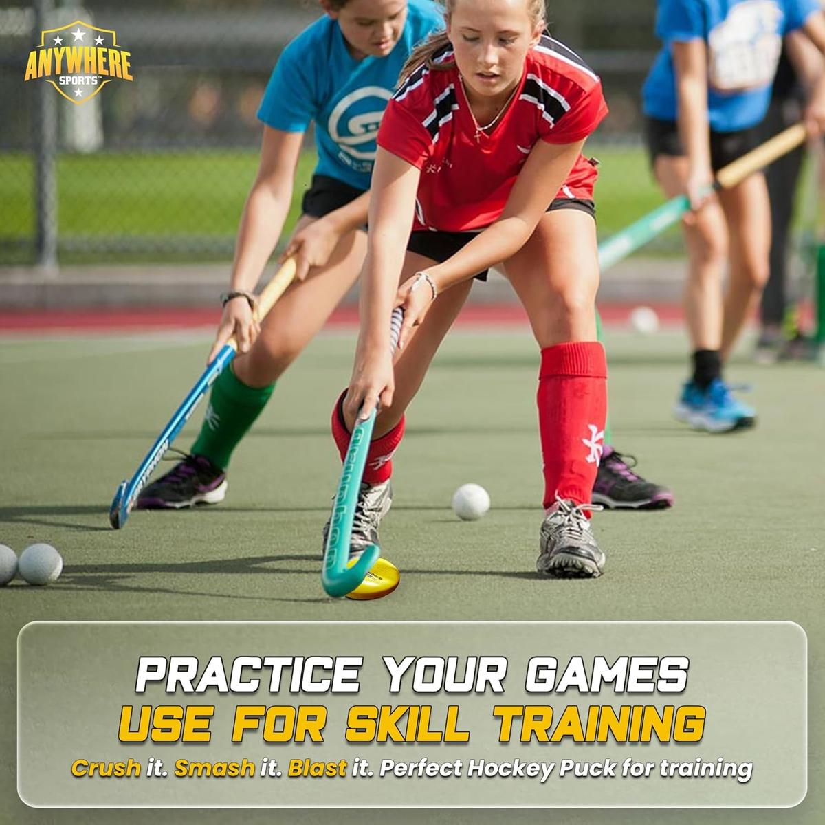 The Anywhere Puck (6 Pack)